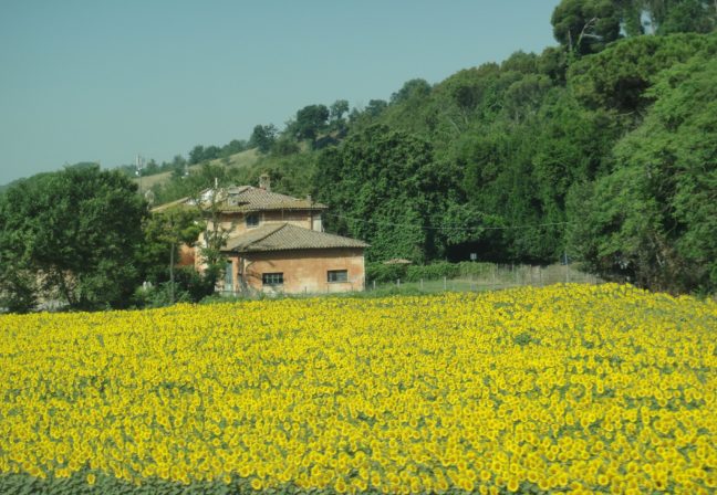 Walking & Learning Italian in Tuscany