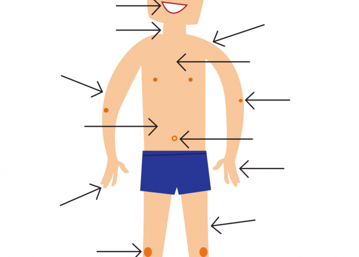 How to say body parts in Italian & body idioms