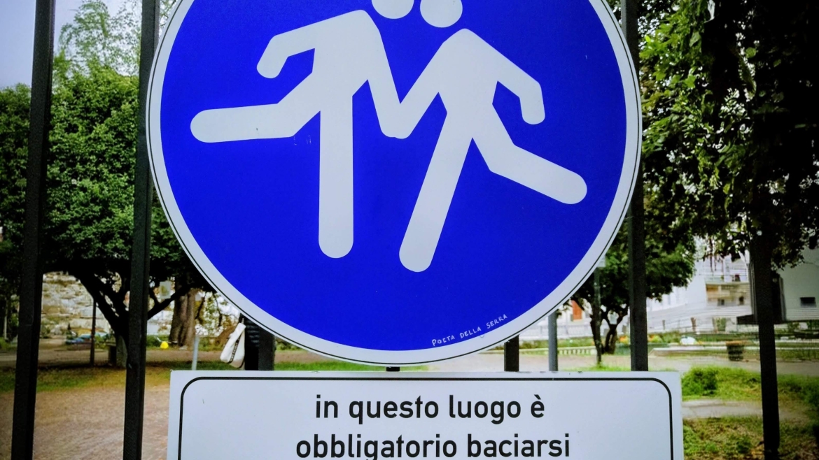 Cosa fare a novembre: film ,serie tv, mostre, concerti